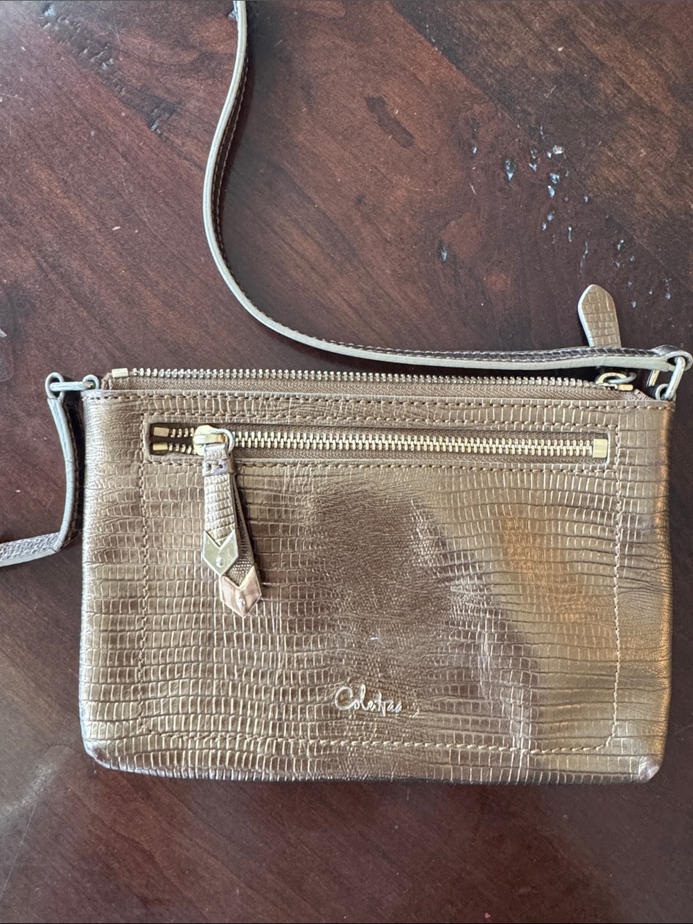 Cole Haan Metallic Bronze Textured Crossbody Bag
